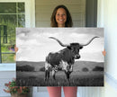 Black and White Longhorn Texas Cow Canvas Wall Art Print by MyGreatCanvas | Canvas Wall Art Prints | Photo Prints & Wall Decor