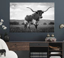 Black and White Longhorn Texas Cow Canvas Wall Art Print by MyGreatCanvas | Canvas Wall Art Prints | Photo Prints & Wall Decor