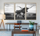 Black and White Longhorn Texas Cow Canvas Wall Art Print by MyGreatCanvas | Canvas Wall Art Prints | Photo Prints & Wall Decor