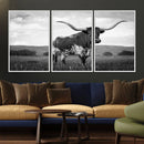 Black and White Longhorn Texas Cow Canvas Wall Art Print by MyGreatCanvas | Canvas Wall Art Prints | Photo Prints & Wall Decor
