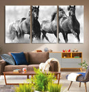 Black and White Wild Horses Wall Art Canvas | 3 Panel Large by MyGreatCanvas | Canvas Wall Art Prints | Photo Prints & Wall Decor