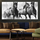 Black and White Wild Horses Wall Art Canvas | 3 Panel Large by MyGreatCanvas | Canvas Wall Art Prints | Photo Prints & Wall Decor