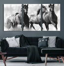 Black and White Wild Horses Wall Art Canvas | 3 Panel Large by MyGreatCanvas | Canvas Wall Art Prints | Photo Prints & Wall Decor