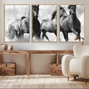 Black and White Wild Horses Wall Art Canvas | 3 Panel Large by MyGreatCanvas | Canvas Wall Art Prints | Photo Prints & Wall Decor