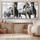 Black and White Wild Horses Wall Art Canvas | 3 Panel Large by MyGreatCanvas | Canvas Wall Art Prints | Photo Prints & Wall Decor