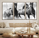 Black and White Wild Horses Wall Art Canvas | 3 Panel Large by MyGreatCanvas | Canvas Wall Art Prints | Photo Prints & Wall Decor