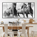 Black and White Wild Horses Wall Art Canvas | 3 Panel Large by MyGreatCanvas | Canvas Wall Art Prints | Photo Prints & Wall Decor