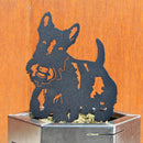 Scottish Terrier