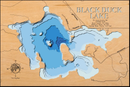 Black Duck Lake in St. Louis County, Minnesota by Horn Dog Maps