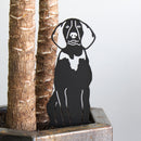 Treeing Walker Coonhound