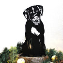 German Wirehaired Pointer