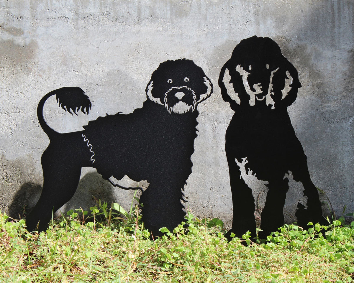 Poodle, photo 18 of 22
