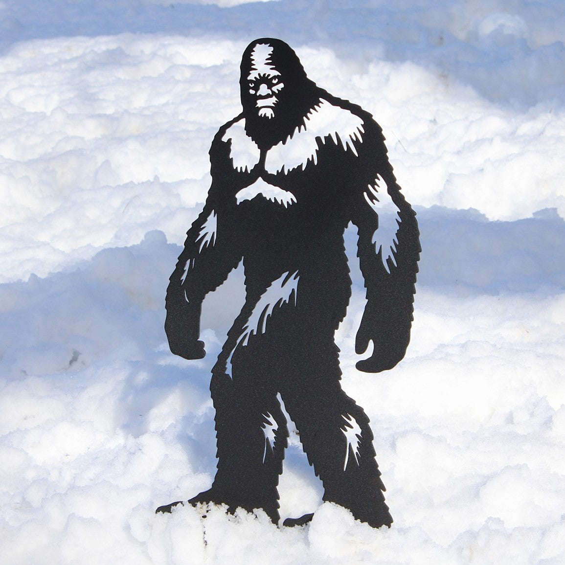 Sasquatch, photo 8 of 11