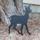 Deer - Doe
