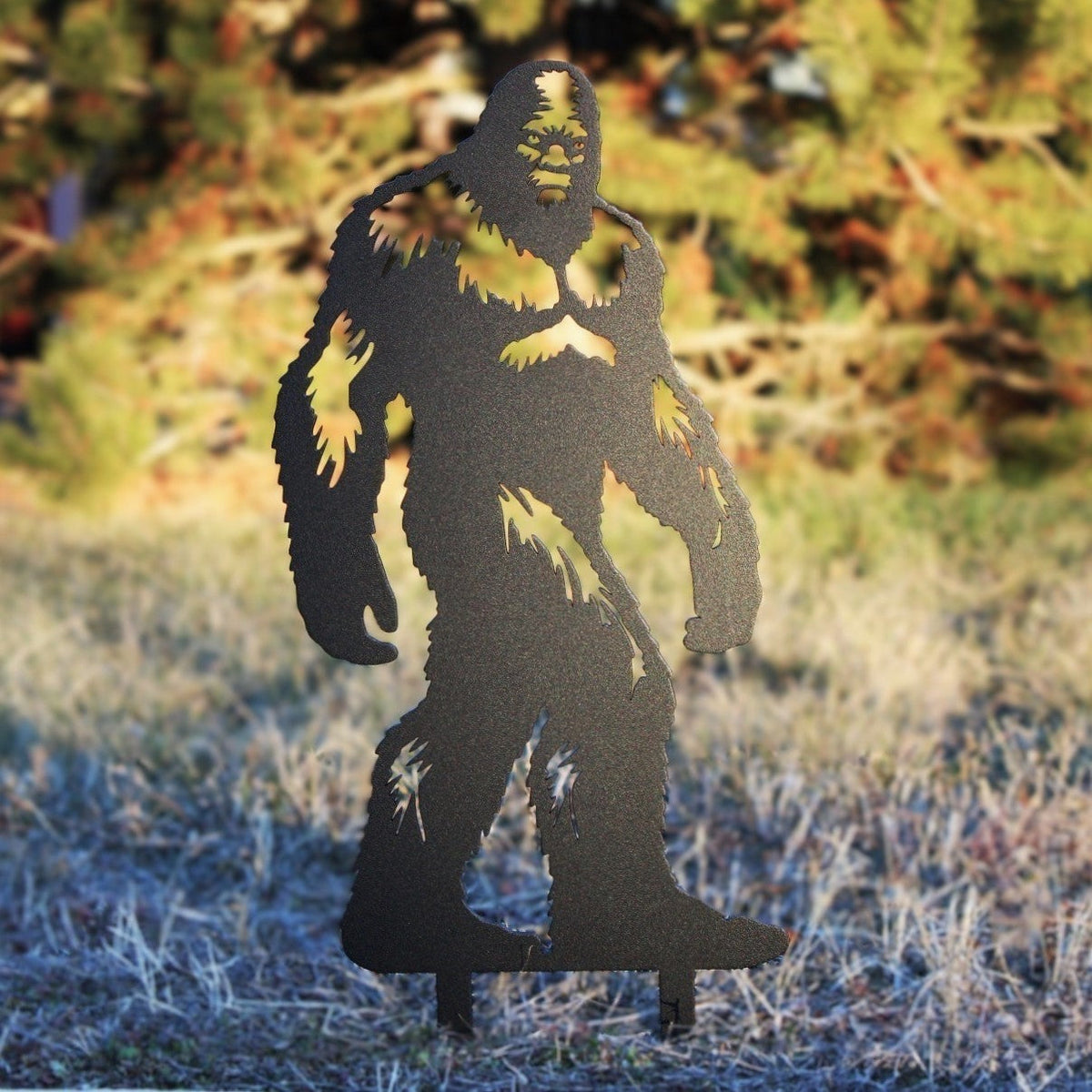 Sasquatch, photo 7 of 11