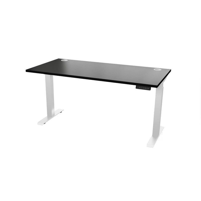 Atlas 66" Sit Stand Office Desk