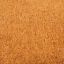 Black Border Coir Doormat