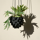 The Creature Orb Hanging Planter Pot With Drainage