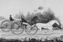 Vintage Horse Racing Black and White Wallpaper Mural