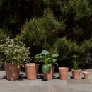 Terracotta Studio Planter, Whitewash by Bloomist