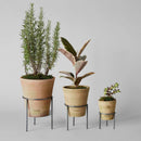 Terracotta Studio Planter, Greenwash by Bloomist