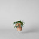Wrought Iron Planter Stand