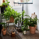 Terracotta Studio Planter, Whitewash