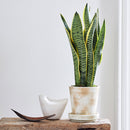 Bird Vase, White