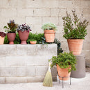 Terracotta Studio Planter, Whitewash by Bloomist