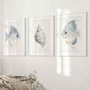 Trendy Nautical Wall Art Set of 3. Seashell and Fishes Posters by Wall Art Set
