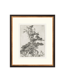 Pine Etchings 2