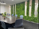 Sample Panel – Lush Fern Green Wall (Small Sample) by Designer Plants USA