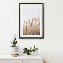 Bohemian Pampas Grass Print. Nature Inspired Theme by Wall Art Set