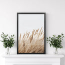Bohemian Pampas Grass Print. Nature Inspired Theme by Wall Art Set