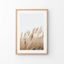 Bohemian Pampas Grass Print. Nature Inspired Theme by Wall Art Set