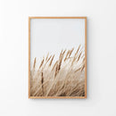 Bohemian Pampas Grass Print. Nature Inspired Theme by Wall Art Set