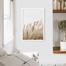 Bohemian Pampas Grass Print. Nature Inspired Theme by Wall Art Set