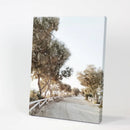 Modern Coastal Neutral Tones Photo. Trees Wall Art by Wall Art Set