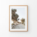 Modern Coastal Neutral Tones Photo. Trees Wall Art by Wall Art Set