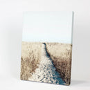Calm Beach Wall Art Print. Sand Dunes, Dried Grass by Wall Art Set