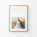 Calm Beach Wall Art Print. Sand Dunes, Dried Grass by Wall Art Set