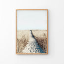 Calm Beach Wall Art Print. Sand Dunes, Dried Grass by Wall Art Set