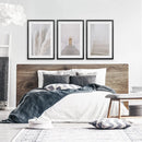 Contemporary Aesthetic Wall Art. Pampas Grass, Stairs, Door by Wall Art Set