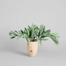 EcoFaux Arbequina Olive Spray