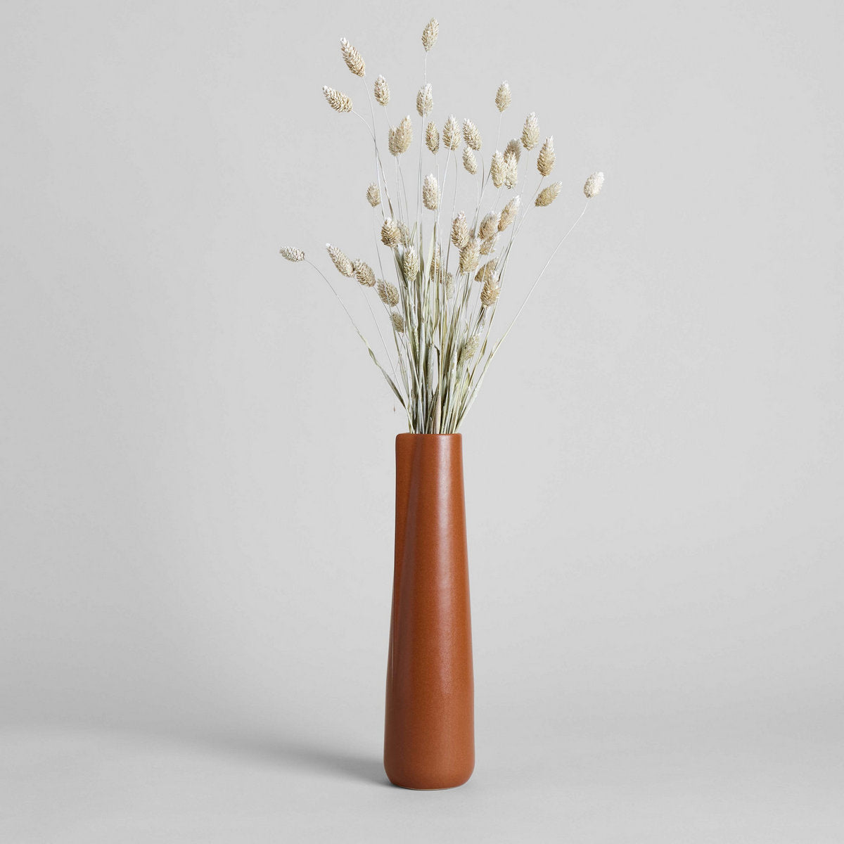 Brown Novah Pitcher, photo 10 of 12