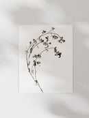 Botanical Ink Study I