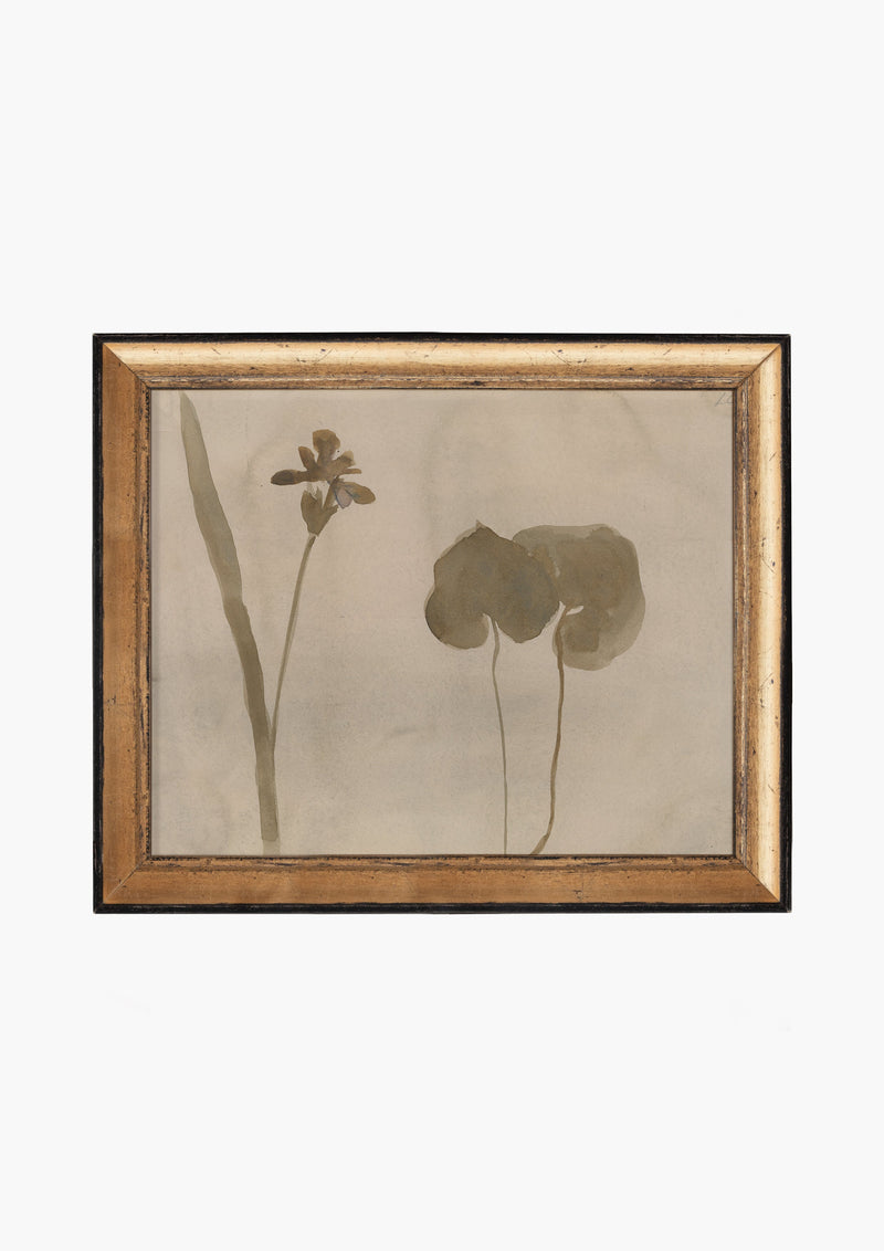 Botanical Thoughts II