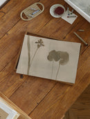 Botanical Thoughts II