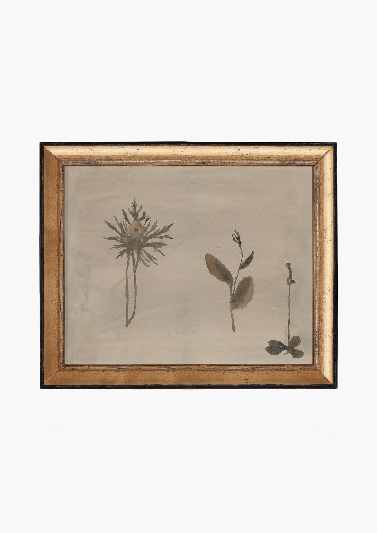 Botanical Thoughts IV, photo 25 of 25