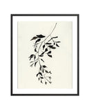 Botanical Ink Study II